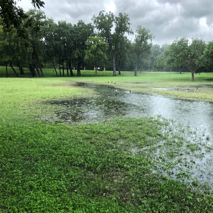 How Rainfall Affects Well Water